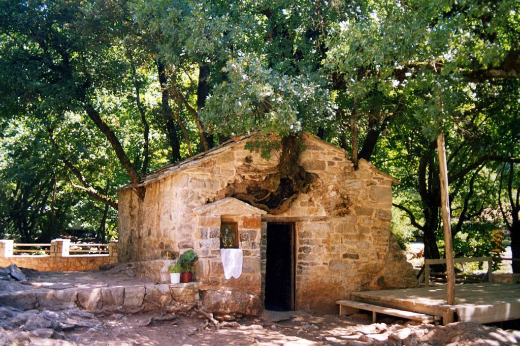 Αγία Θεοδώρα Βάστα – Το Θαυμαστό Εκκλησάκι με τα 17 Δέντρα