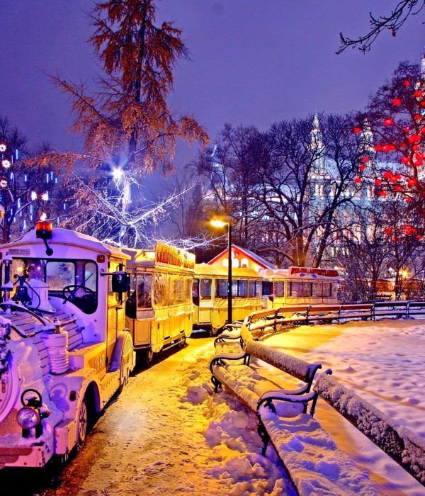 Dream Christmas in Vienna