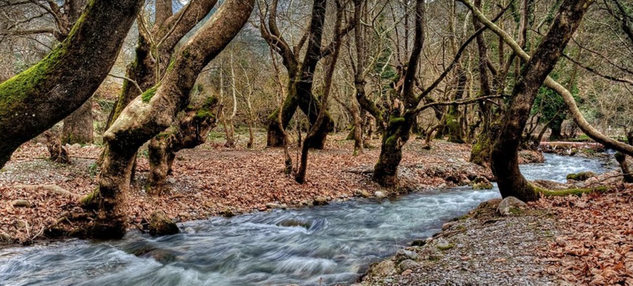 Excursion d'une journée à Kalavryta.