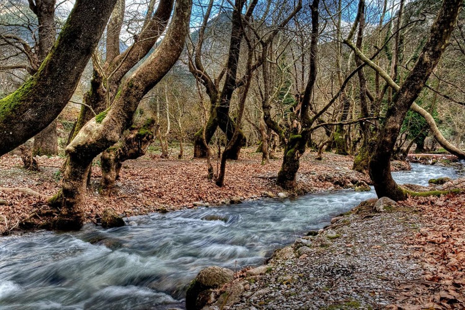 Kalavryta One Day Excursion.