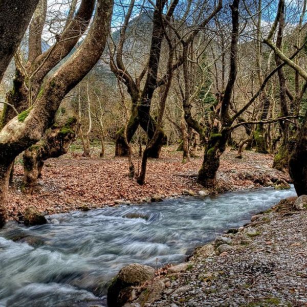 Kalavryta Escursione di un giorno.