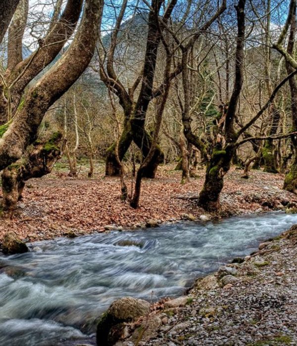 Kalavryta Tagesausflug.