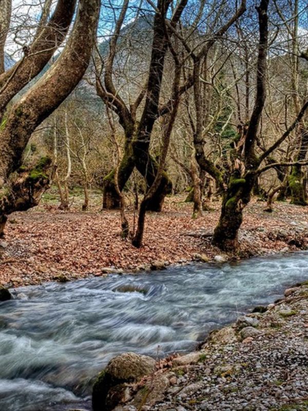 Kalavryta Escursione di un giorno.