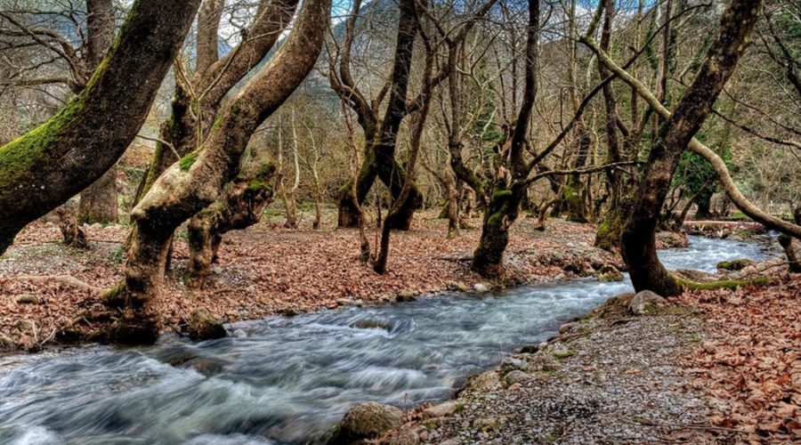 Kalavryta One Day Excursion.