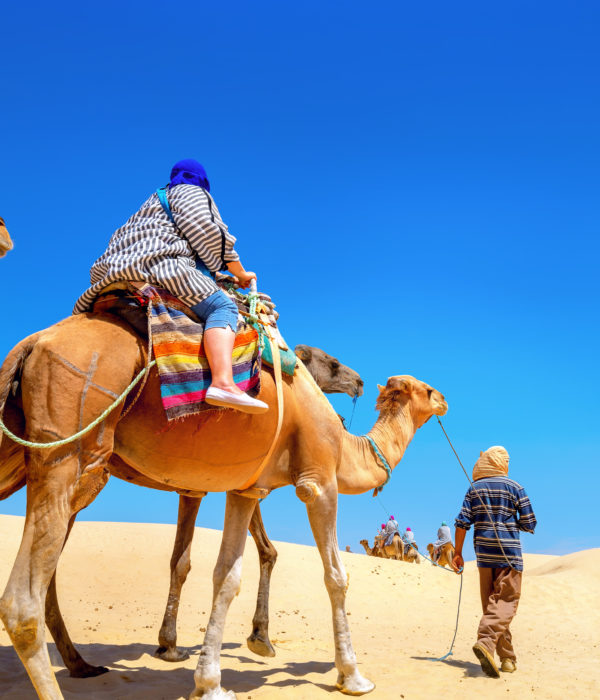 Tour Aérien Tunisie