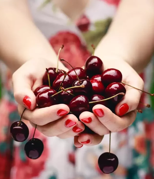 Excursion to Platanos Kynouria and Cherry Festival