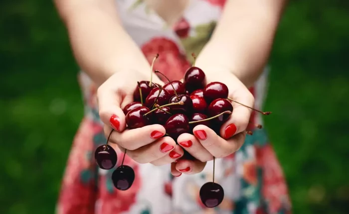 Excursion to Platanos Kynouria and Cherry Festival