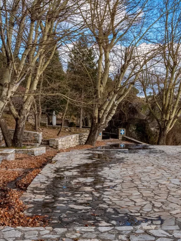 Excursion to Arcadia Limbovisi and Chrysovitsi