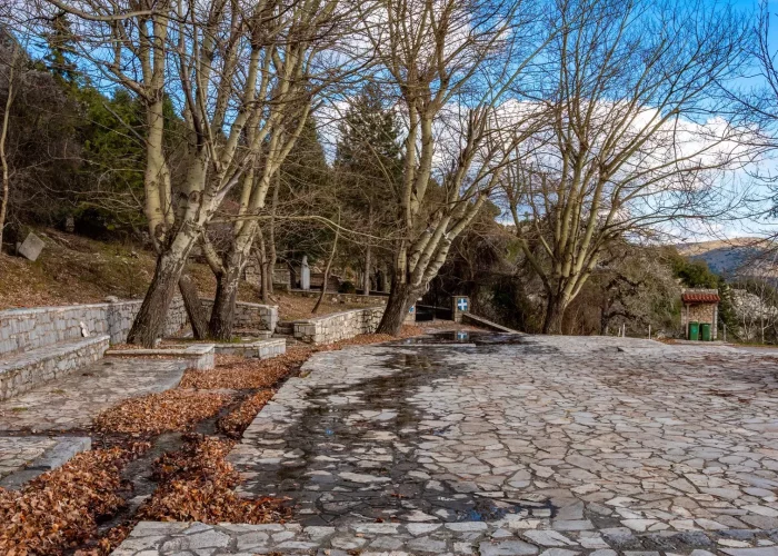 Excursion to Arcadia Limbovisi and Chrysovitsi