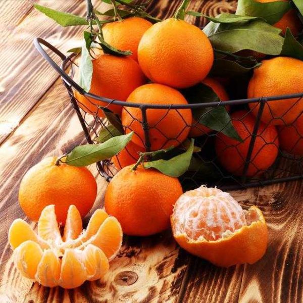 Excursion Drepano Argolida - Mandarin Festival