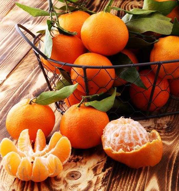 Excursion Drepano Argolida - Mandarin Festival