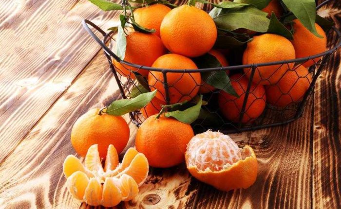 Escursione Drepano Argolide - Festa del mandarino