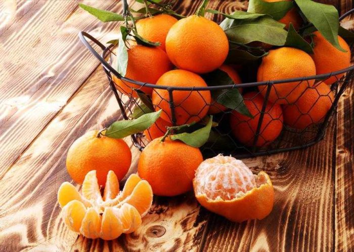 Εκδρομή Δρέπανο Αργολίδας - Γιορτή Μανταρινιού