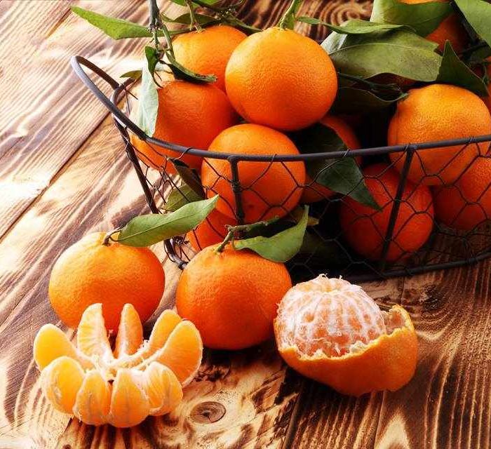 Εκδρομή Δρέπανο Αργολίδας - Γιορτή Μανταρινιού