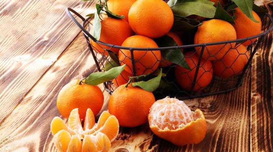 Εκδρομή Δρέπανο Αργολίδας - Γιορτή Μανταρινιού