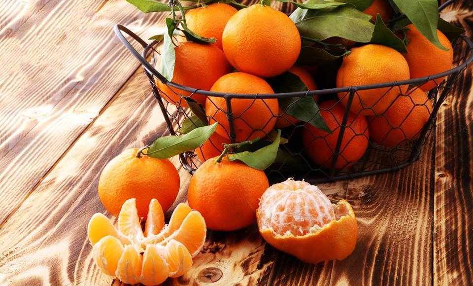 Εκδρομή Δρέπανο Αργολίδας - Γιορτή Μανταρινιού