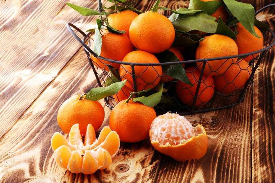 Εκδρομή Δρέπανο Αργολίδας - Γιορτή Μανταρινιού