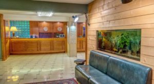 Το Ξενοδοχείο μας Αlexios Hotel 3*
